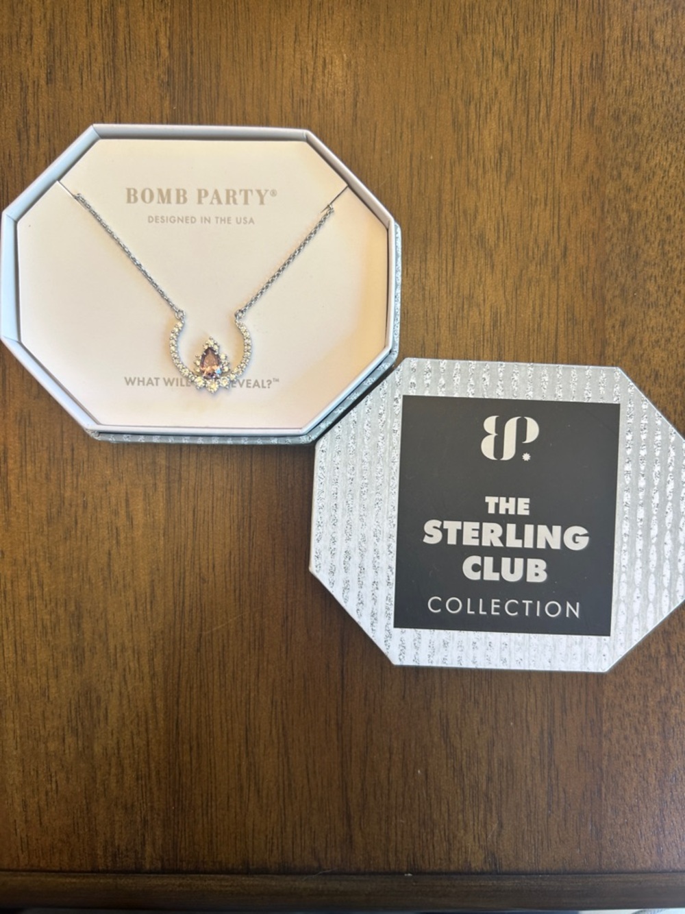 Bomb Party Sterling Necklace